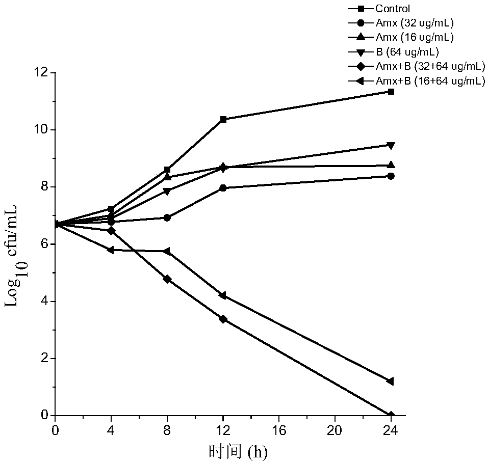 Veterinary suspension containing amoxicillin and baicalein and its preparation method