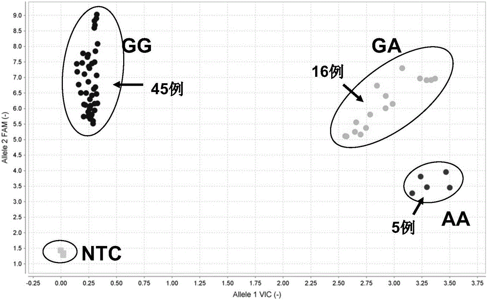 Primers, probes, kit and method for detecting polymorphism of human CYP2C19 gene