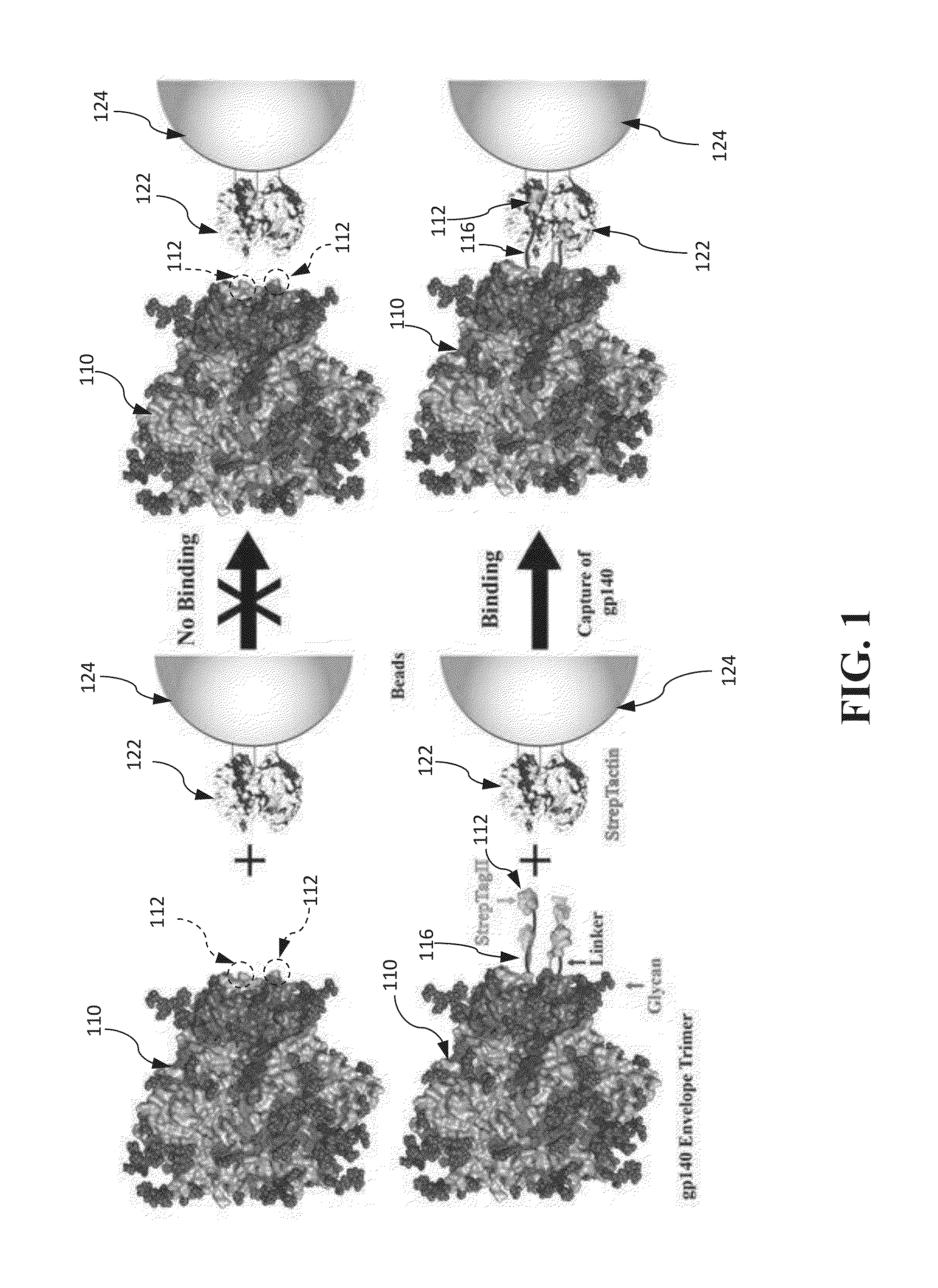 Approach to produce hiv-1 gp140 envelope protein trimers