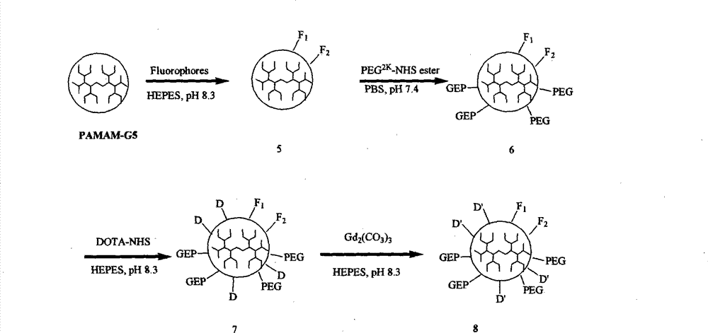 Multi-mode targeted probe for early hepatic fibrosis diagnosis and preparation method thereof