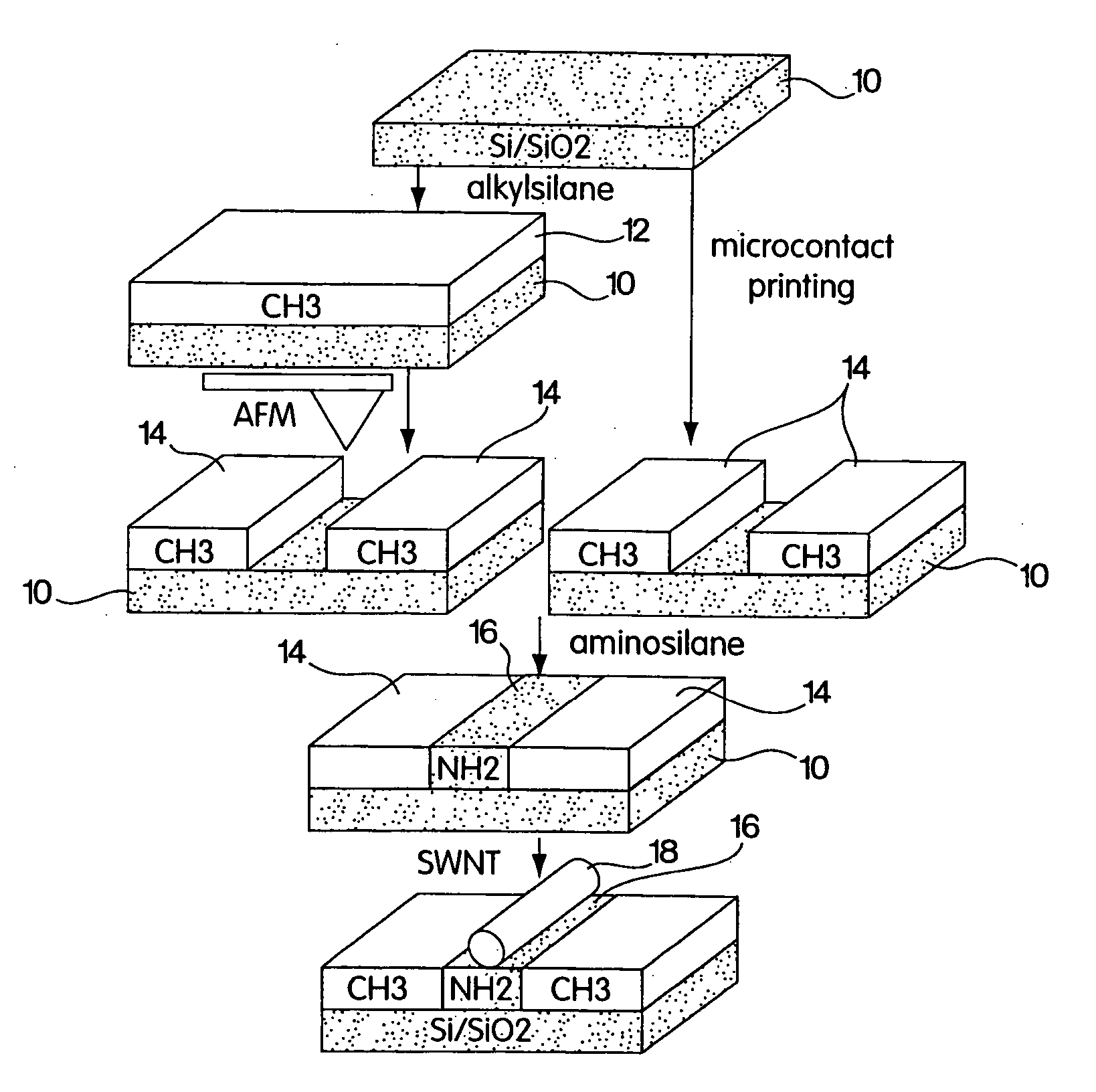 Nanoscopic wire-based devices and arrays