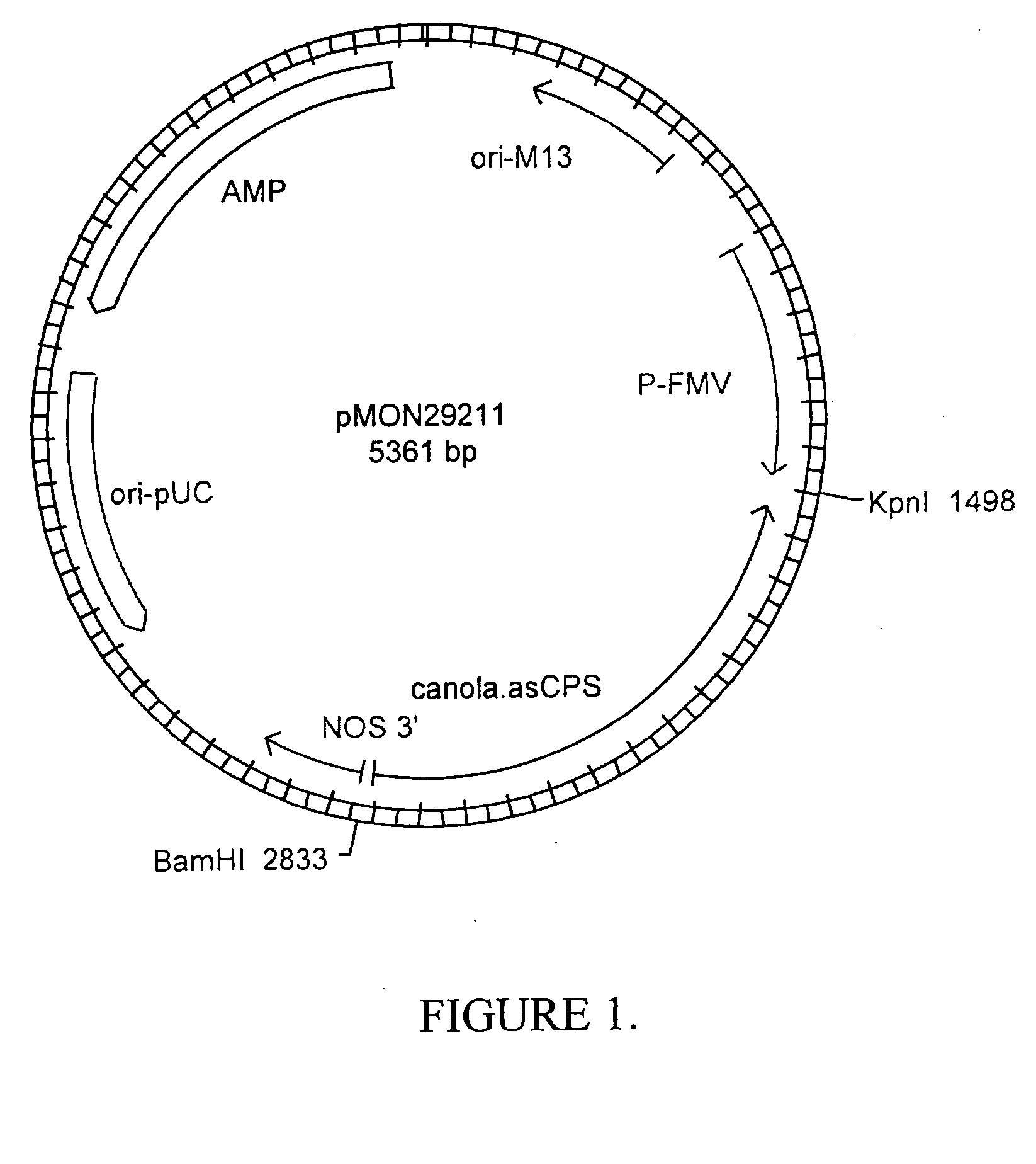 Methods for controlling gibberellin levels