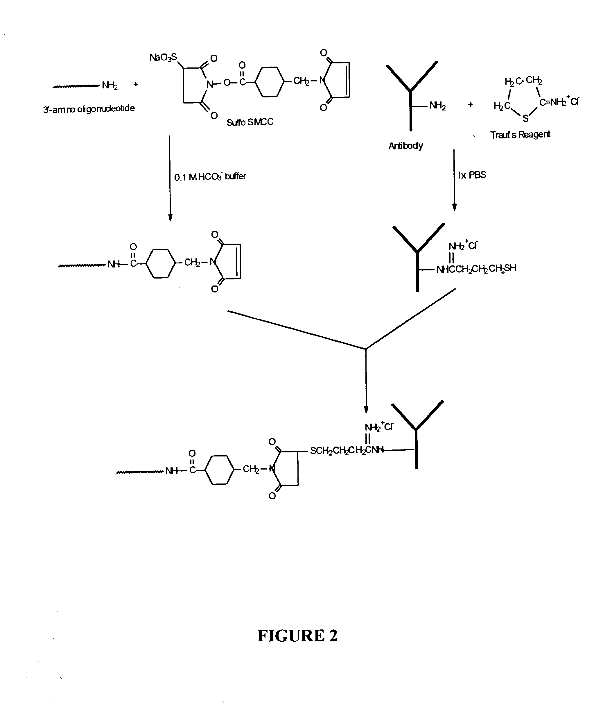 Solid phase synthesis of biomolecule conjugates