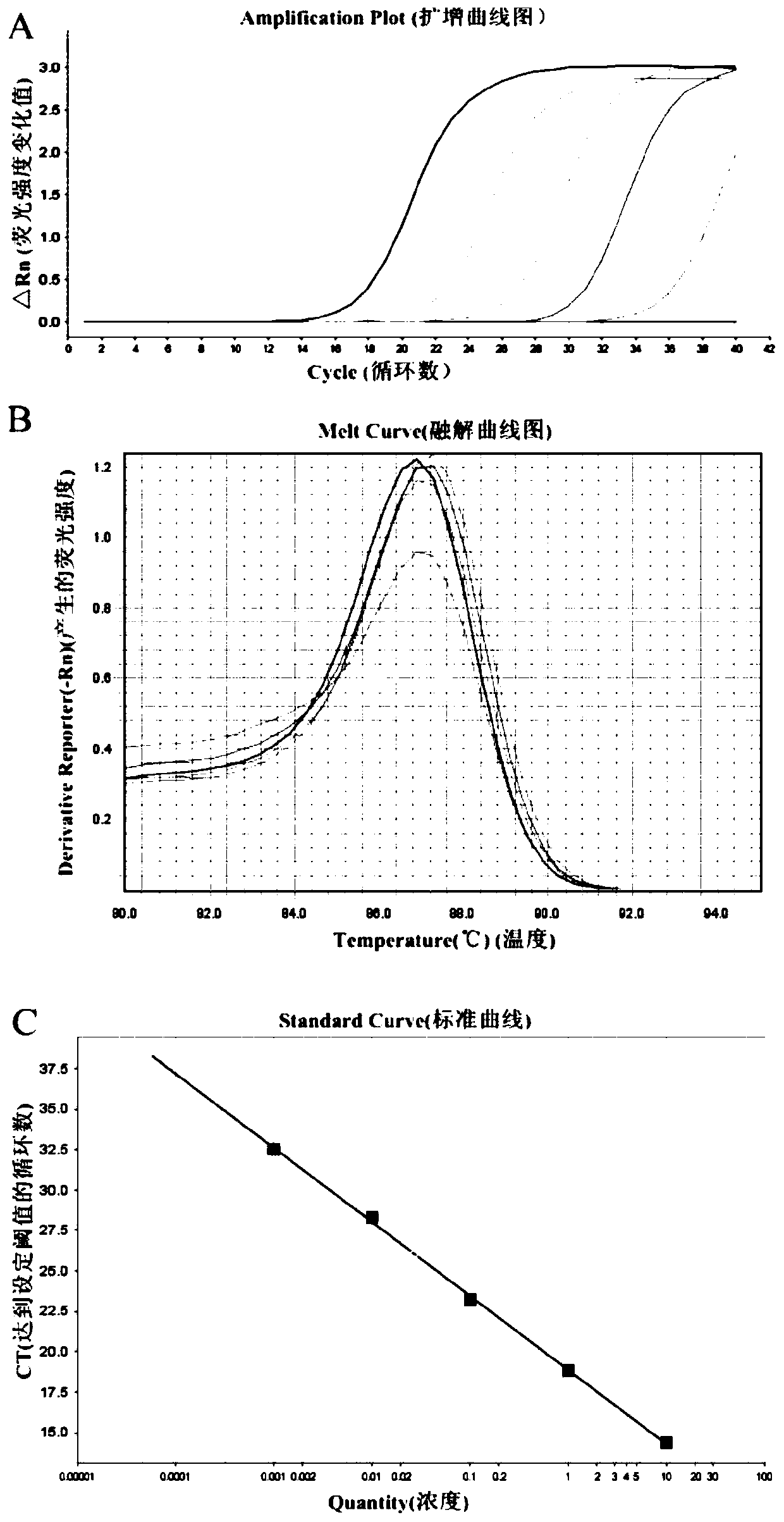 Primers and kit for fluorescent PCR detection of nine dermatophytes