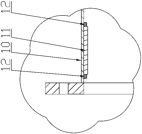 Screw conveyer for conveying insoluble sulfur