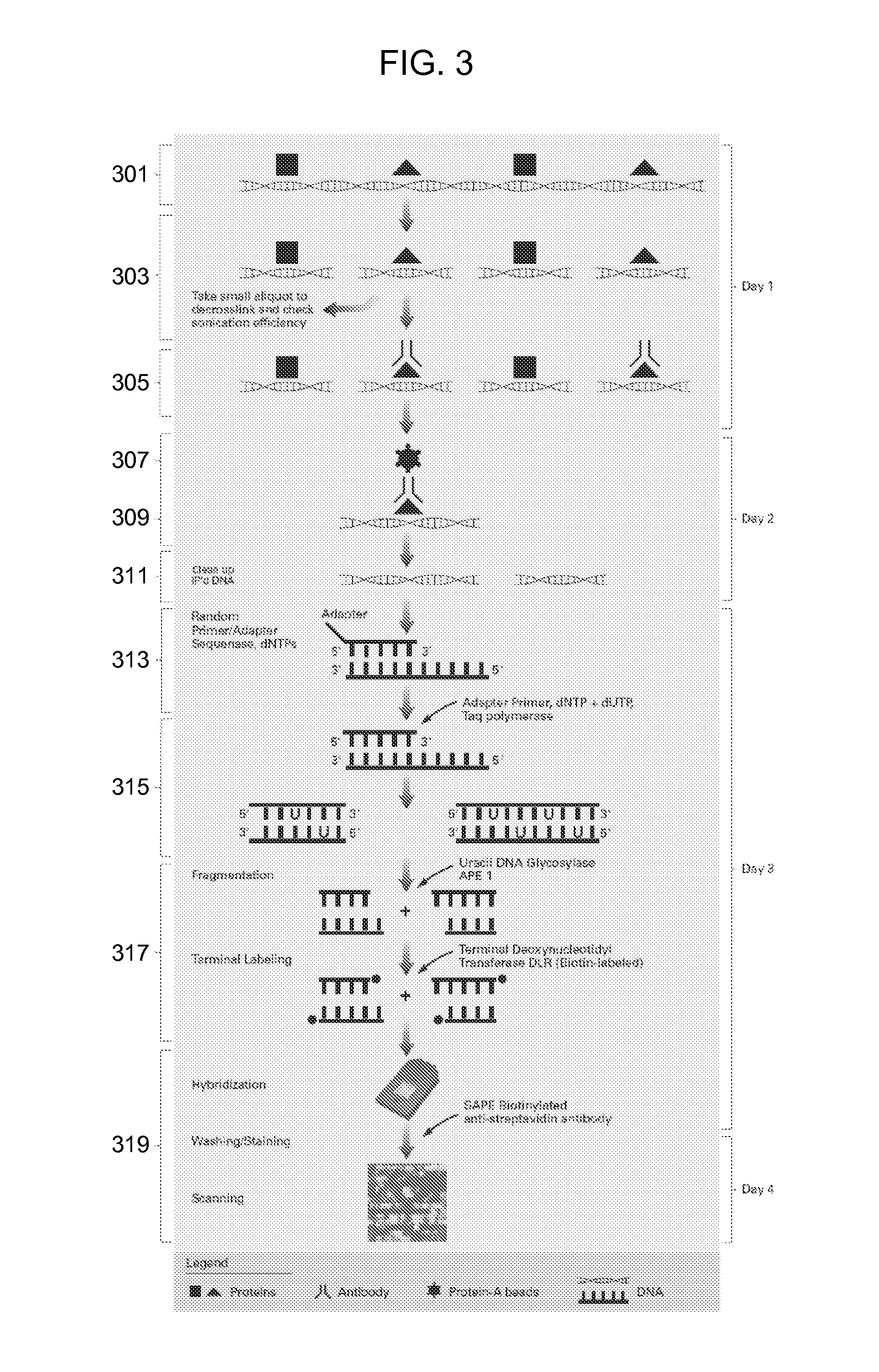 Methods for fragmentation and analysis of nucleic acid