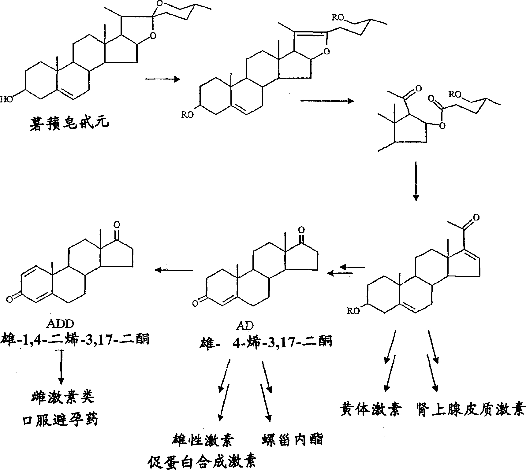 Process for fermentation of phytosterols to androstadienedione