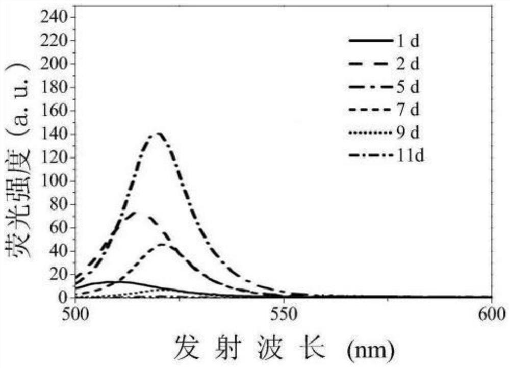 Perovskite CsPbI3-based quantum dot and preparation method thereof