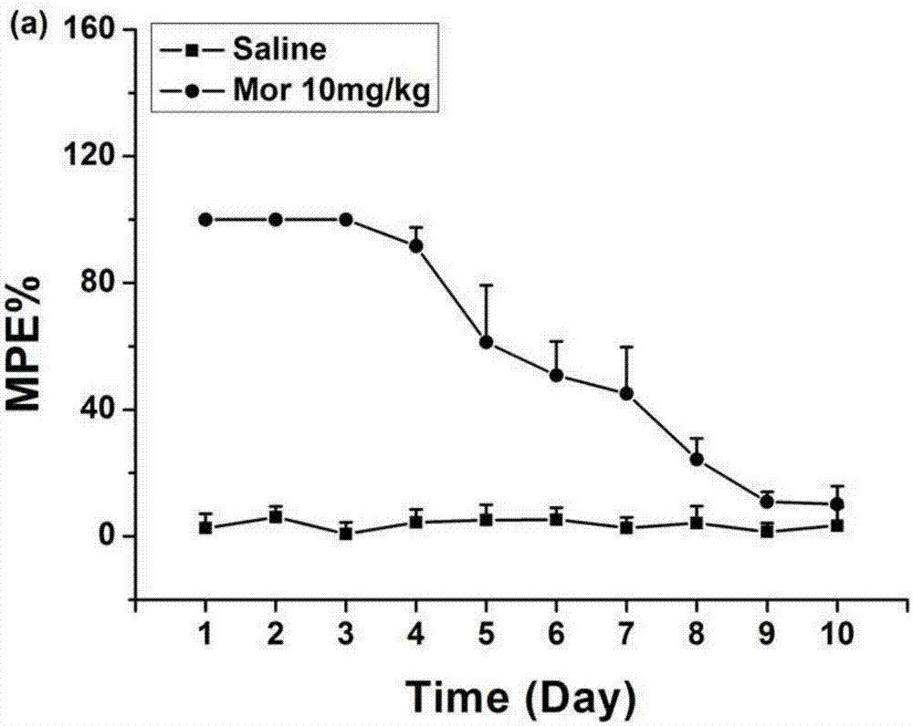 Application of heat shock protein 70 inhibitor to preparation of opioid drug analgesia reinforcing agent