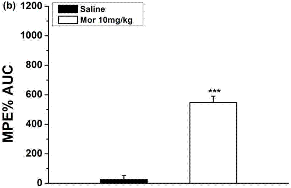 Application of heat shock protein 70 inhibitor to preparation of opioid drug analgesia reinforcing agent