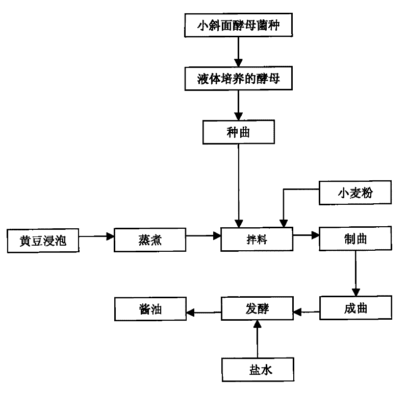 Method for preventing and treating blue mold contamination in starter propagation of sauce