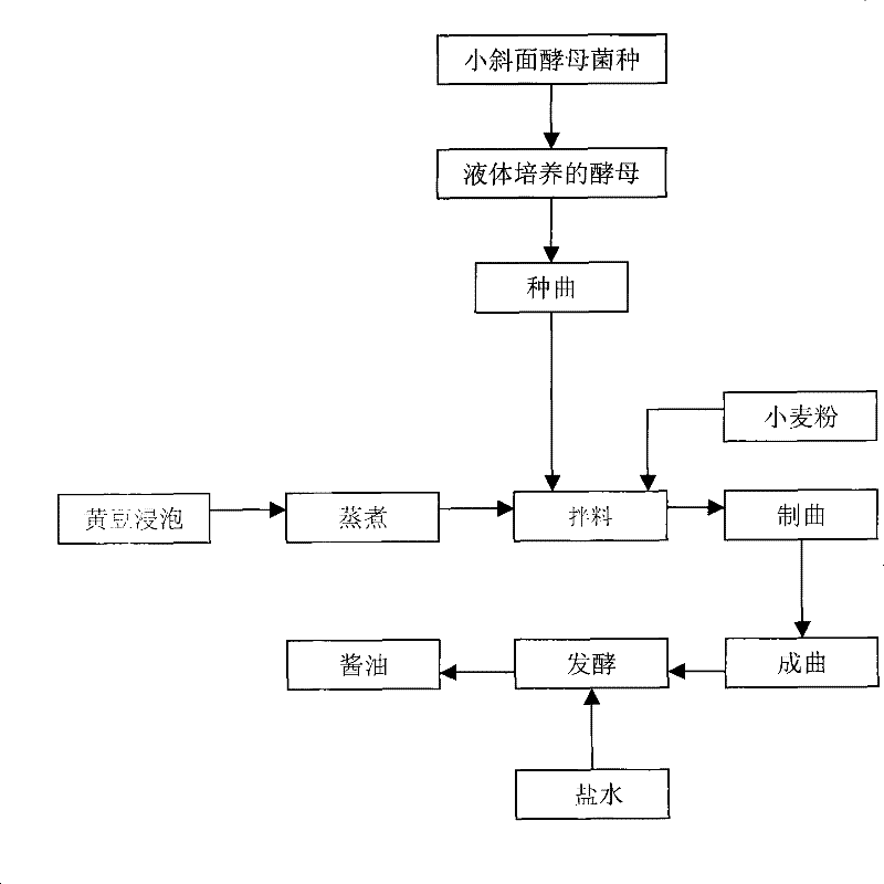 Method for preventing and treating blue mold contamination in starter propagation of sauce