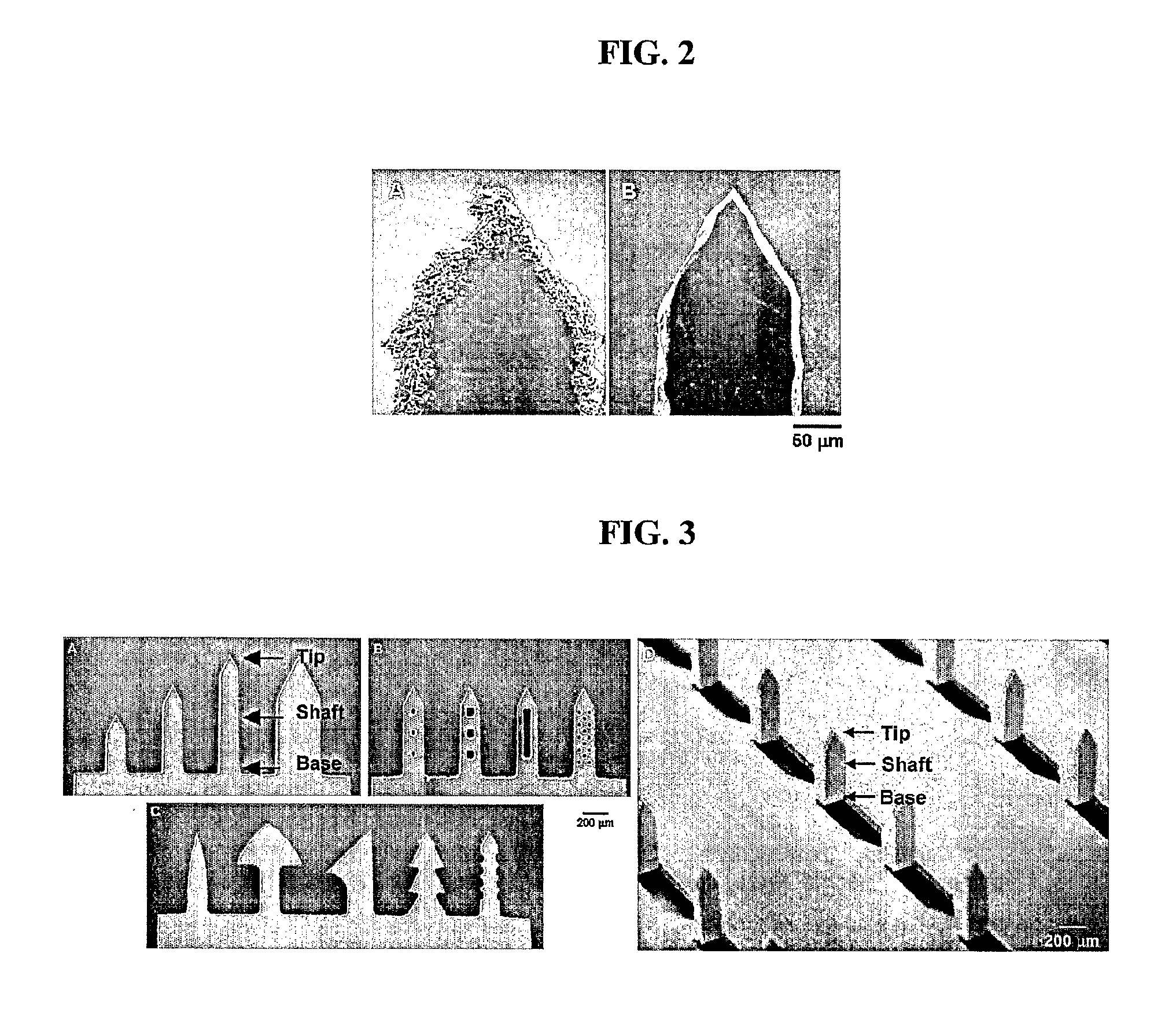 Coated Microstructures and Methods of Manufacture Thereof