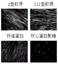 A kind of cell culture substrate and its preparation method and application