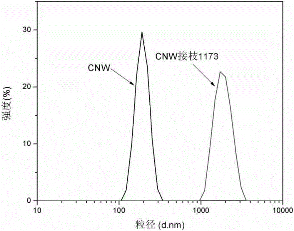 Nanocellulose whisker modified bifunctional photoinitiator and preparation method thereof