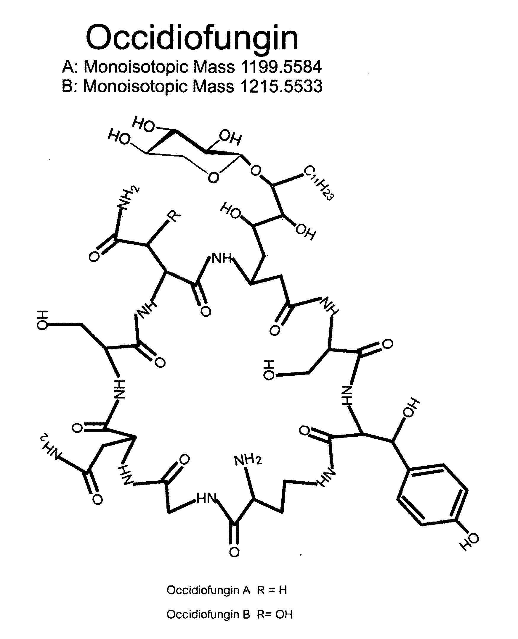 Occidiofungin, a unique antifungal glycopeptide produced by a strain of burkholderia contaminans