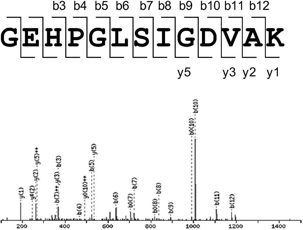 Damaged DNA-nanometer gold compound and its preparation method and use