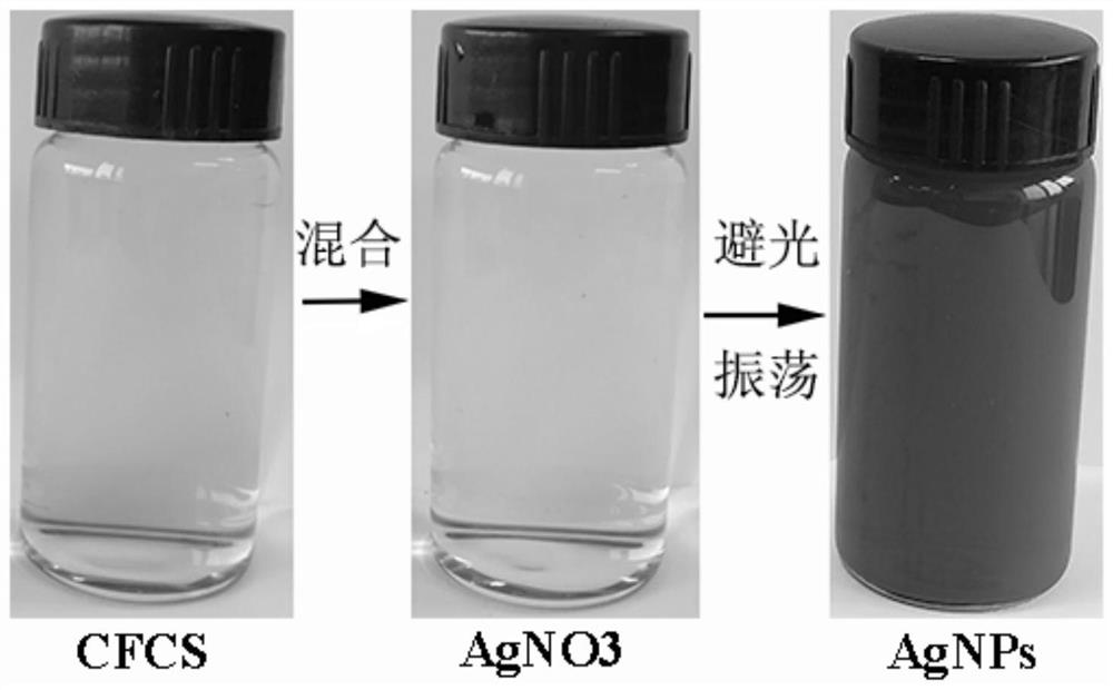 A method for synthesizing nano-silver using Pseudomonas phlegm cell-free supernatant and its products and applications