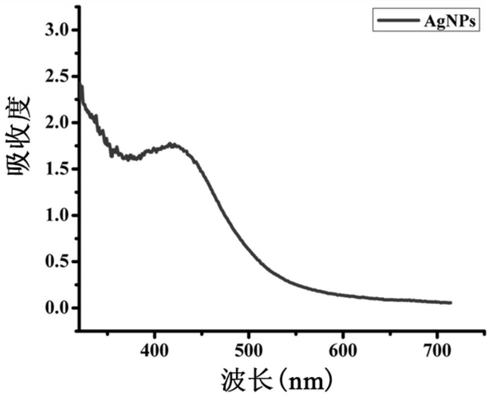 A method for synthesizing nano-silver using Pseudomonas phlegm cell-free supernatant and its products and applications