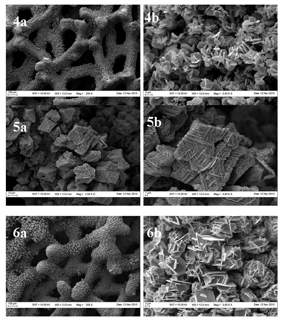 Preparation method and application of CuS catalyst with three-dimensional framework structure