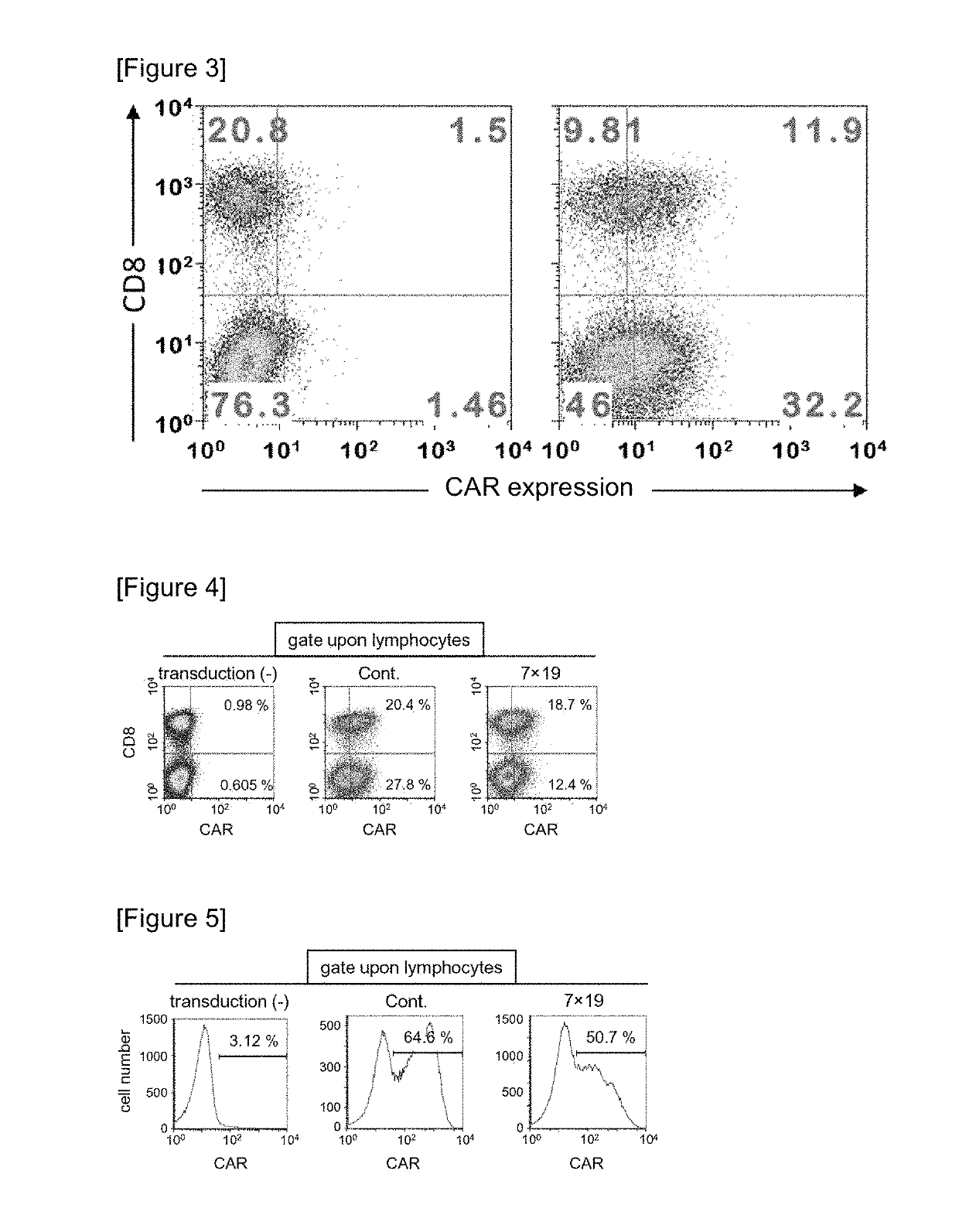 Car expression vector and car-expressing T cells