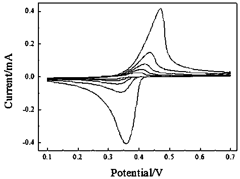 Treatment method of silver electrode for ion chromatography ampere detection