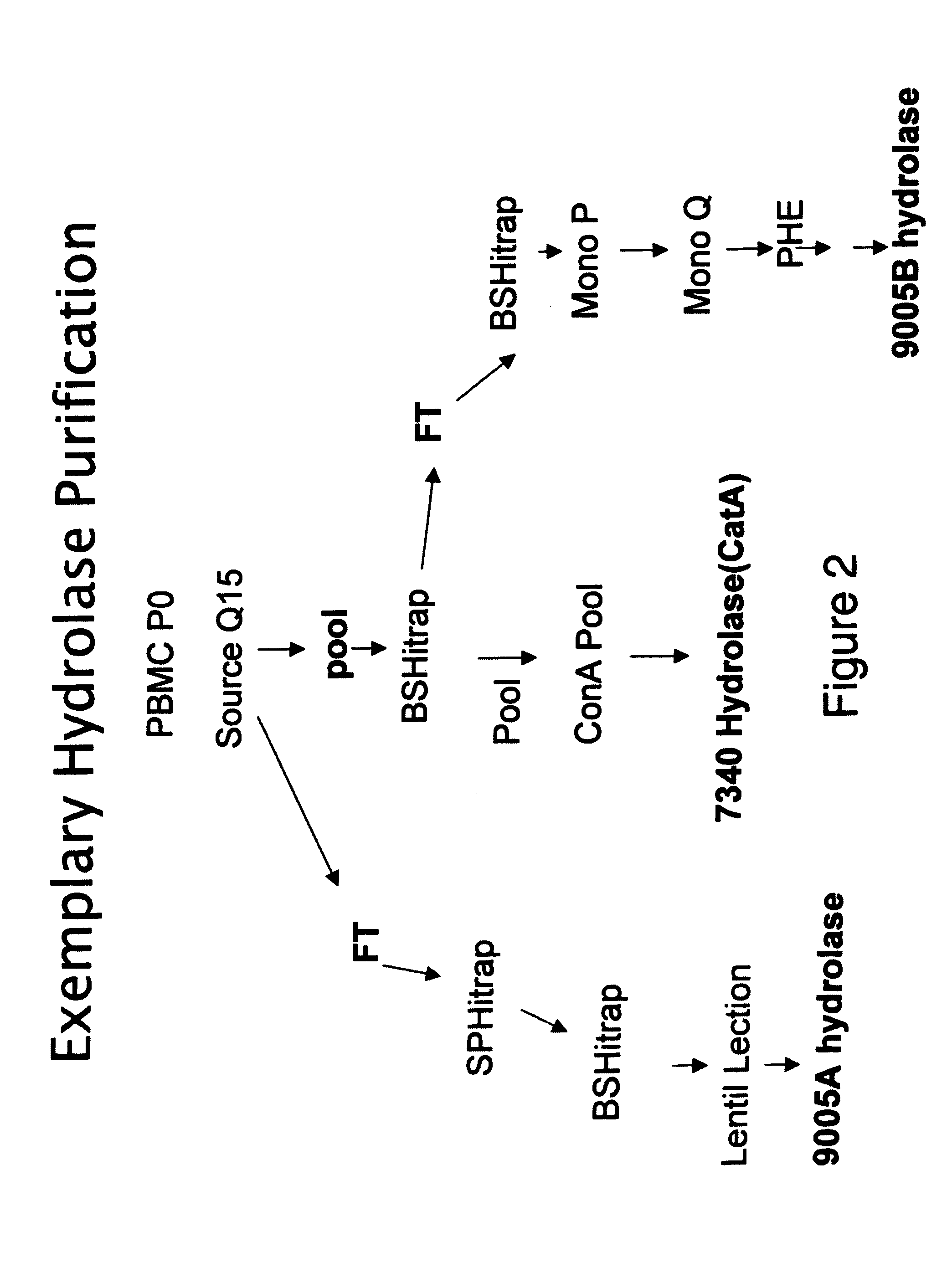 Methods and compositions for identifying therapeutic compounds with GS-7340 ester hydrolase