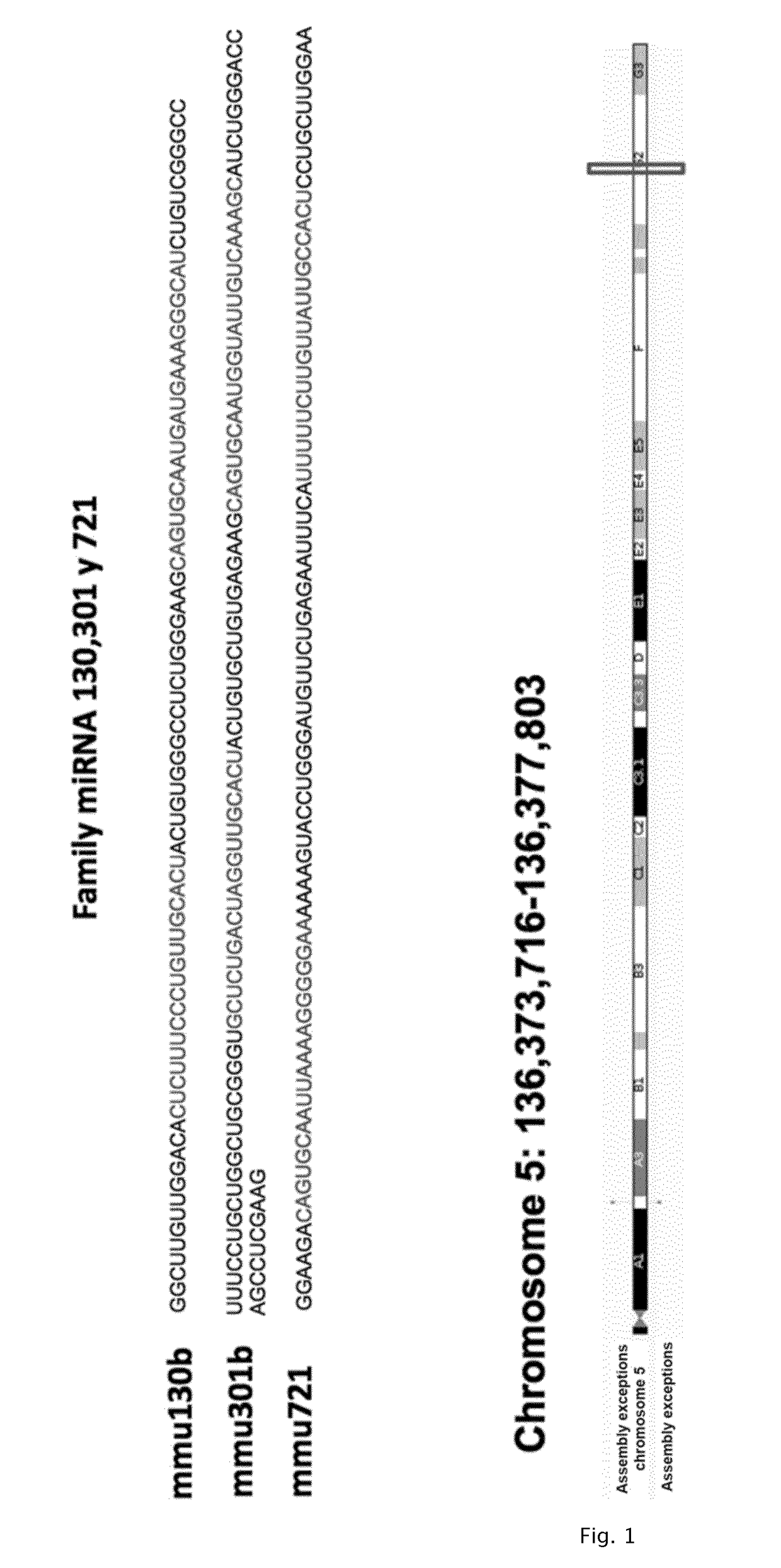 Method for diagnosing cardiomyopathies