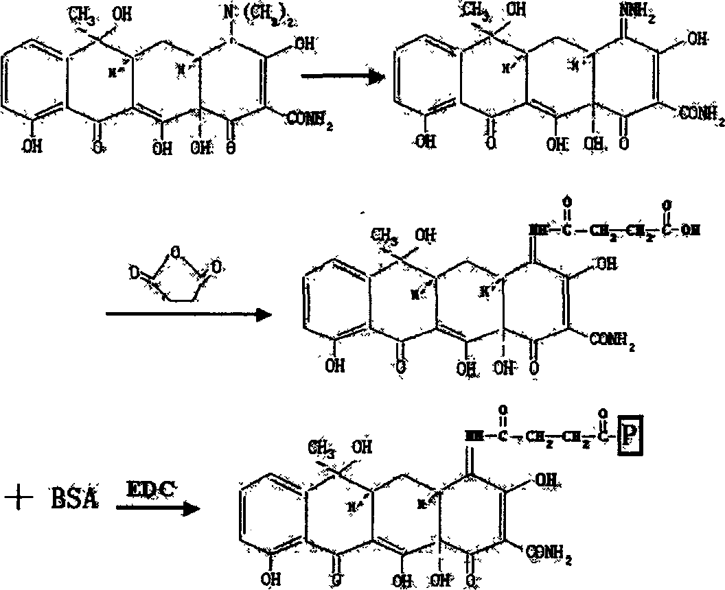 Cyclomycin family antibiotic enzyme-linked immunoassay reagent kit
