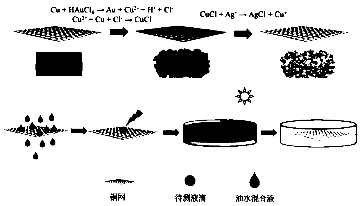 Multifunctional oil-water separating material and preparing method and application thereof