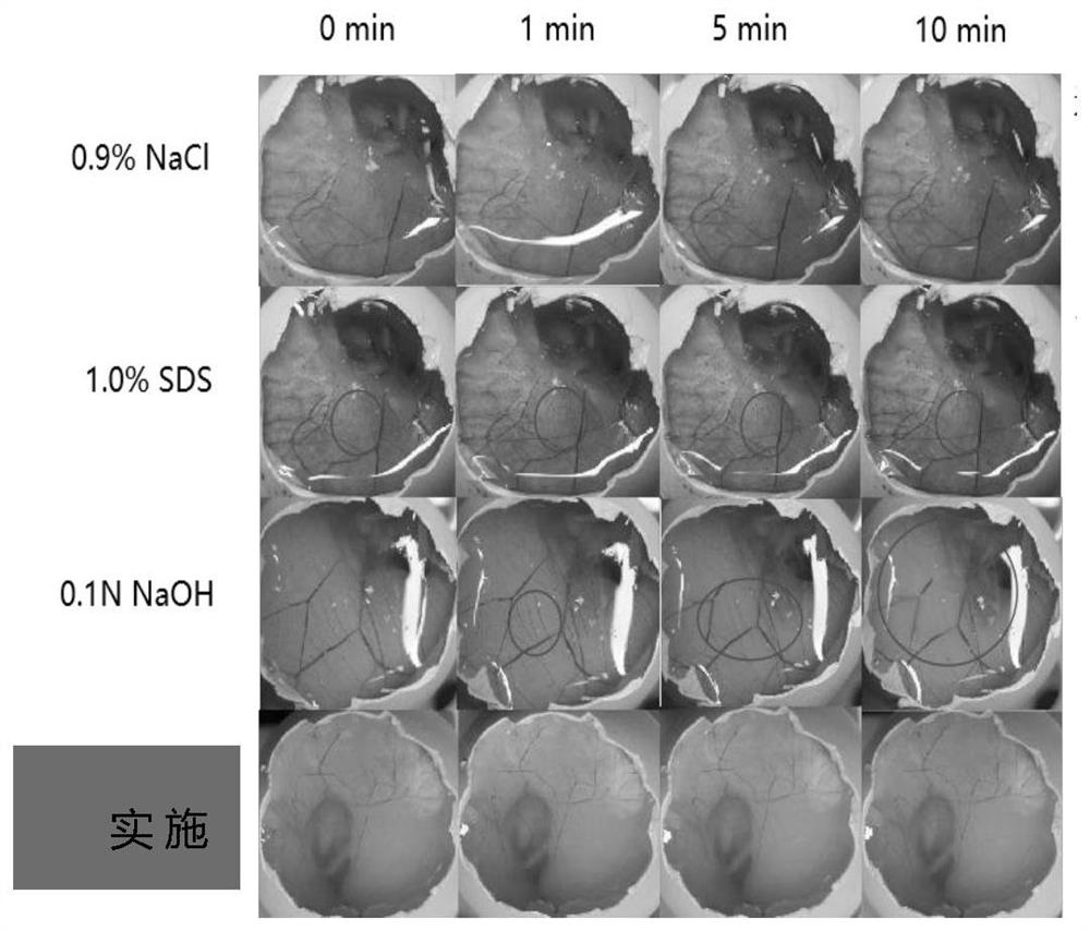 Anti-allergy traditional Chinese medicine formula fermentation product, preparation method and application thereof in cosmetics