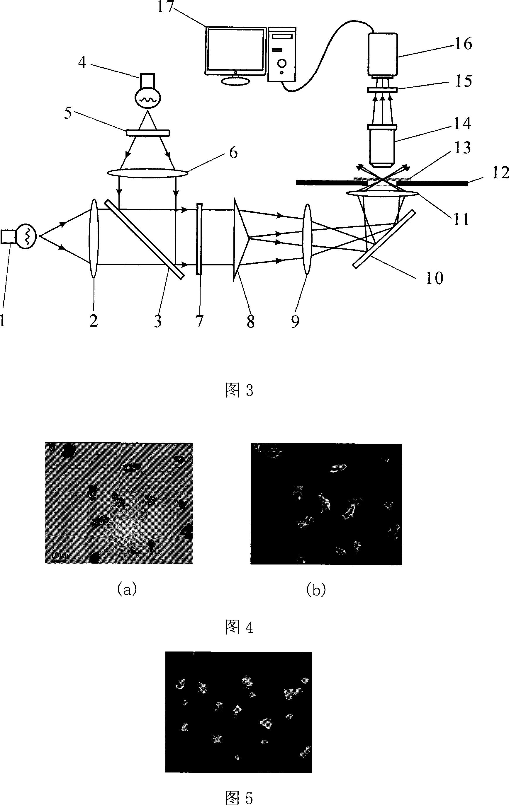 Method and device for accomplishing dark-field photomicrography and fluorescent photomicrography by axicon lens