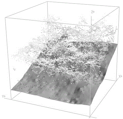 A Tree Species Classification Method Based on Lidar Pseudo-Vertical Waveform Model
