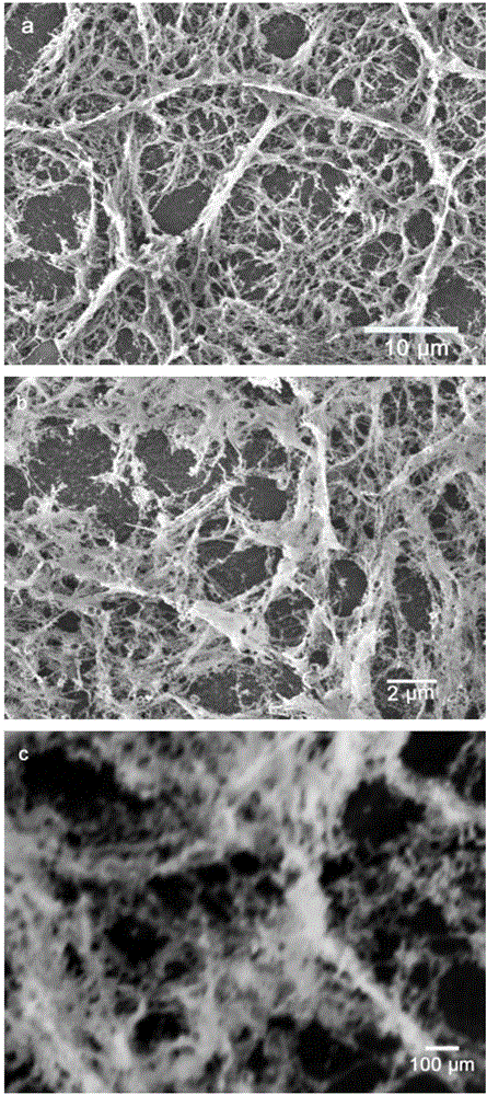SiO2 irregular nanocrystal network structure and preparation method thereof