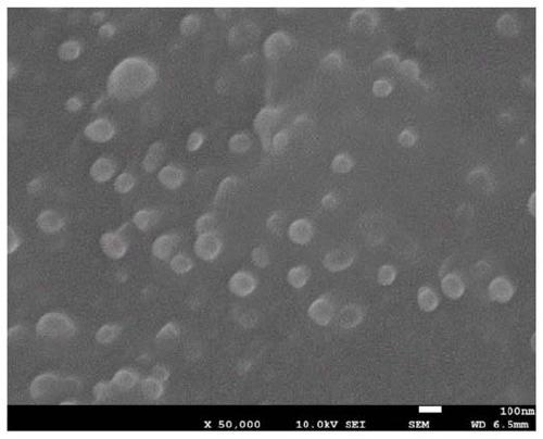 Lamiophlomis rotata extract nano preparation and preparation method thereof