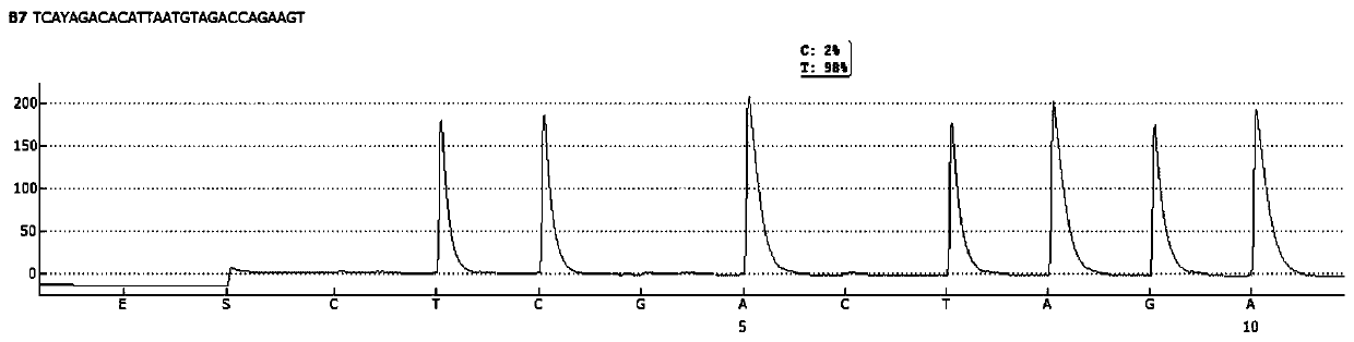 Primer and kit for detecting human low oxygen tolerance related gene polypeptide