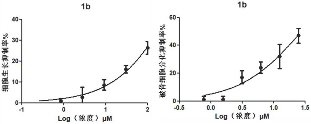 Application of thiazole benzamide derivatives in the preparation of anti-osteoporosis and anti-osteoarthritis drugs