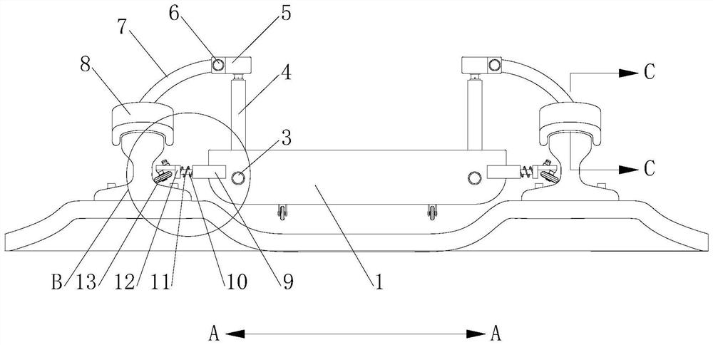 Rail cleaning and maintaining device