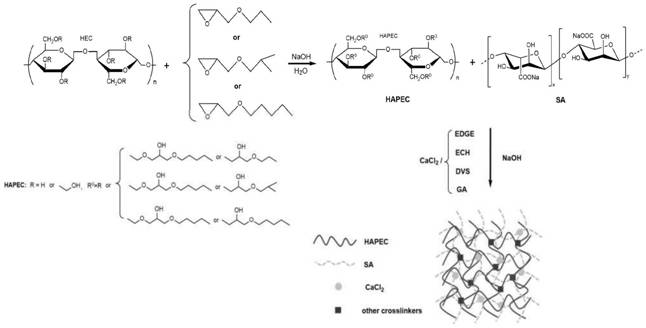 A temperature-sensitive sodium alginate/cellulose ether composite hydrogel and its preparation method and application