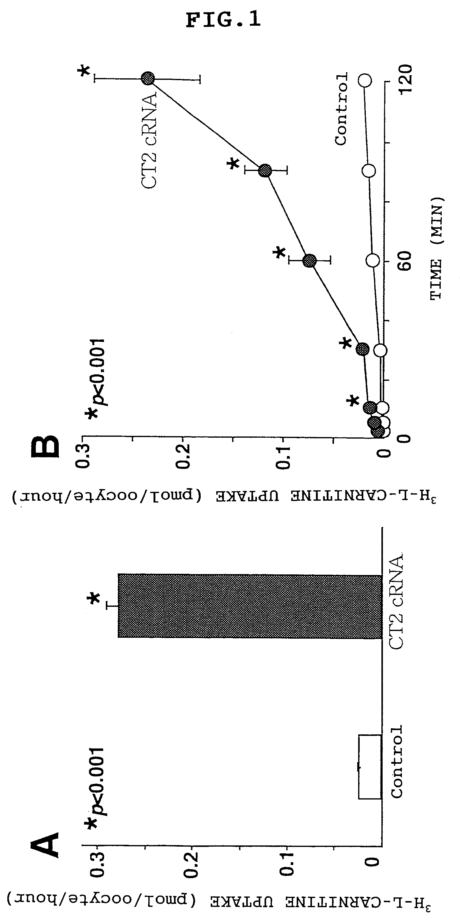 Method of modulating a testicular carnitine transporter