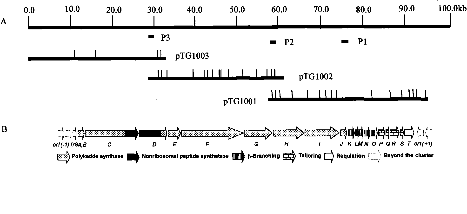 Biosynthetic gene cluster of FR901464