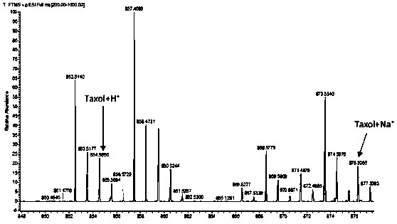 A taxol-producing endophytic fungus Aspergillus aculeatus tax-6 and its application