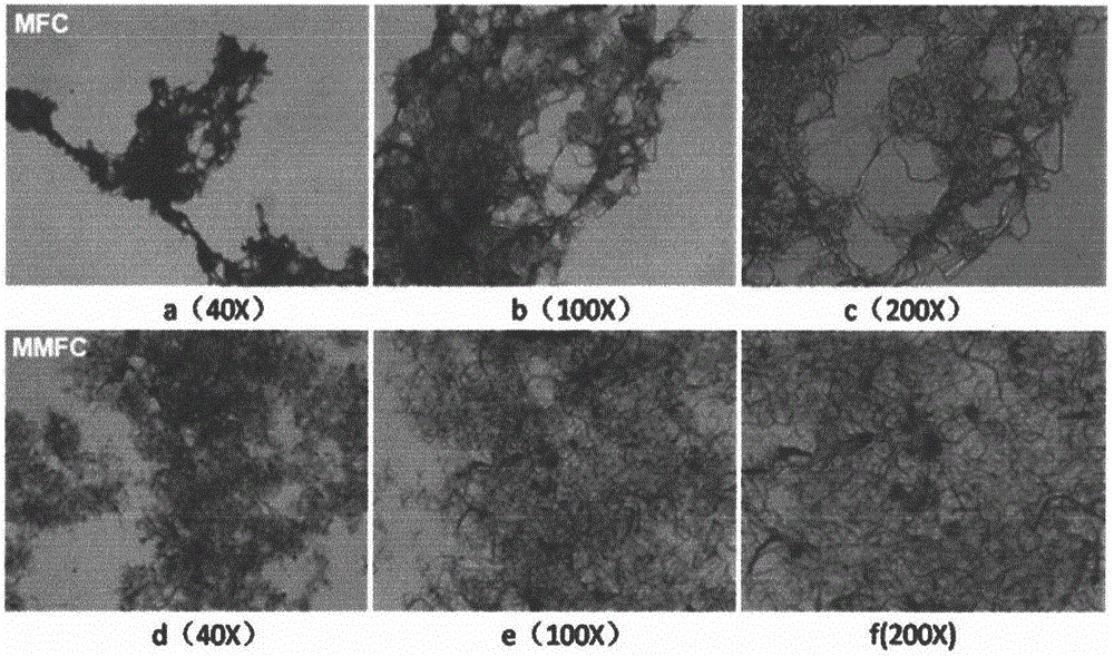 Cellulose nano fiber/polylactic acid composite material and preparation method thereof