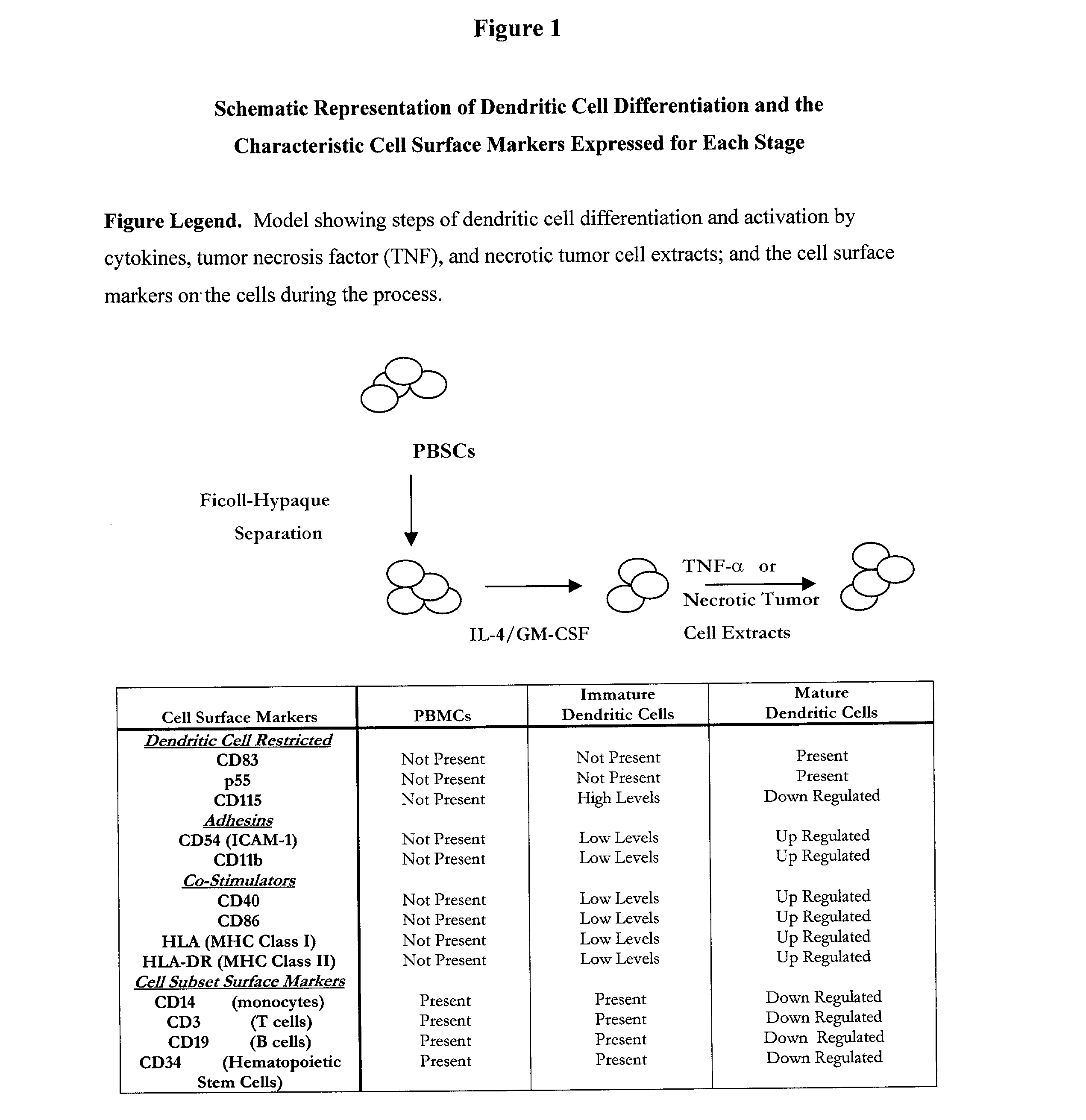 Methods of stem cell manipulation for immunotherapy