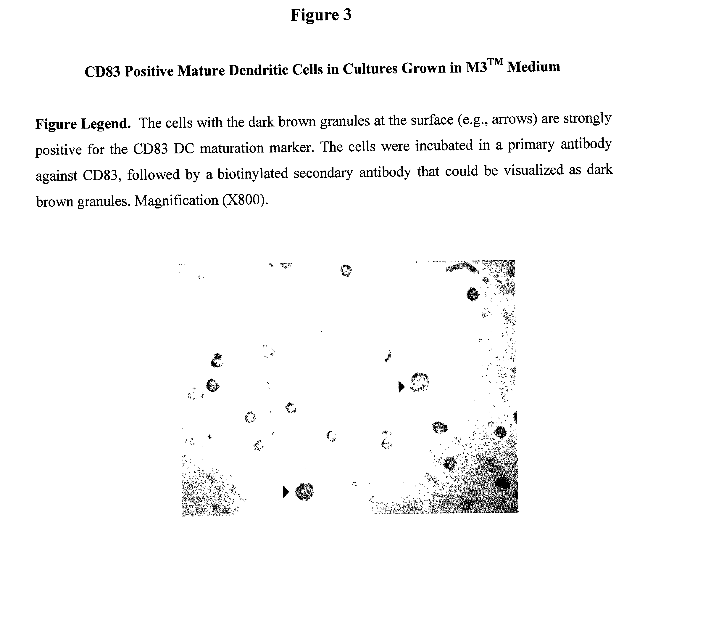 Methods of stem cell manipulation for immunotherapy