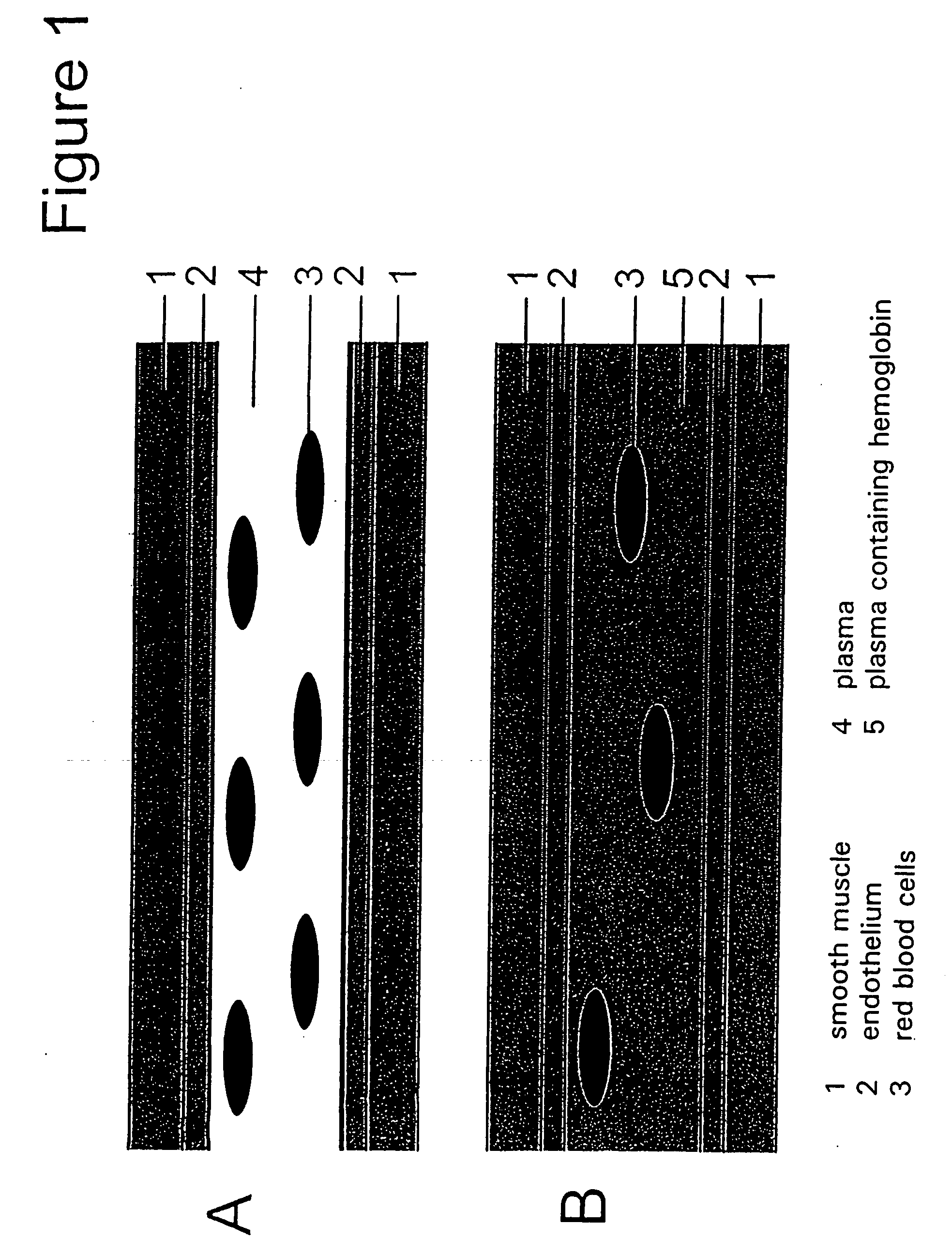 Methods and compositions for optimization of oxygen transport by cell-free systems