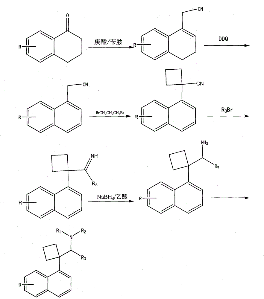 Naphthyl ethylamine derivative and preparation method thereof and application of naphthyl ethylamine derivative in preparing weight-reducing medicament