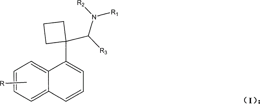 Naphthyl ethylamine derivative and preparation method thereof and application of naphthyl ethylamine derivative in preparing weight-reducing medicament