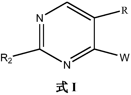 IDO inhibitor and preparation method and application thereof