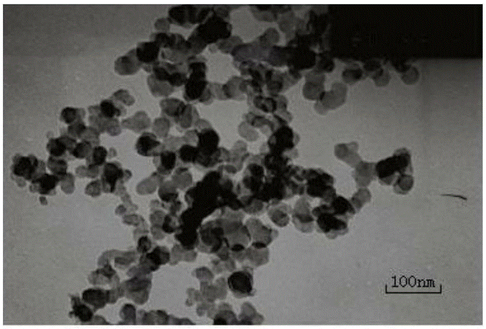 Surface amination nanometer ferroferric oxide adsorbent and preparation method thereof